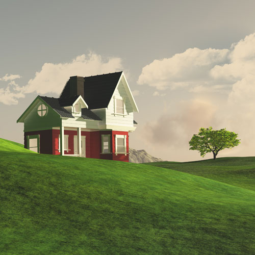 Portfolio Image